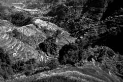 Banaue Rice Terraces Black and White