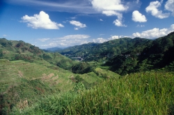Banaue rice terraces