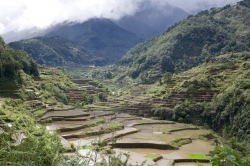 Wet Water at Banaue Rice Terraces