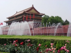 Nice dazzling shot of the flowers and sprinklers