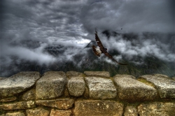 Caracara Takes Flight at Machu Picchu