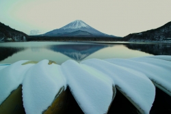 Viewed From Across Lake Shoji, Shojiko