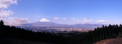 Panorama of Fuji With Cities and Trees