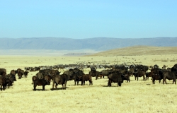 Everyone Getting Along