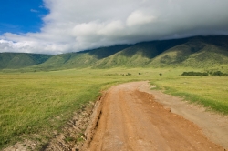 In the Ngorongoro Crater