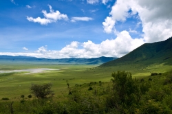 In the Ngorongoro Crater