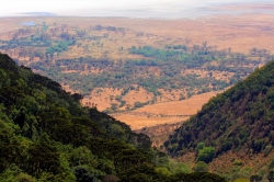 Wonderful View of Ngorongoro From High Point