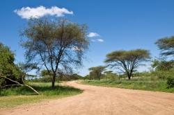 Dusty Road