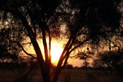 Sunset at Serengeti