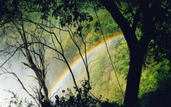 Victoria Falls With Rainbow