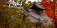 Daitokuji Temple