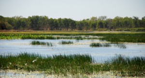 Kakadu National Park Attractions, Facts & History