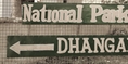 Dhangari