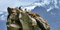 Resurrection Bay